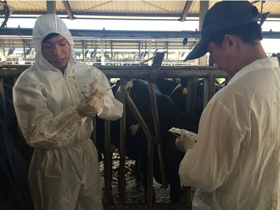 廣州市動監(jiān)所開展奶牛芯片注射及手持式標簽閱讀器使用培訓